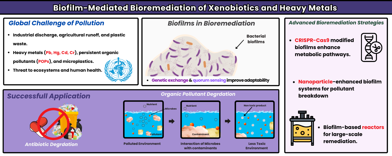 Biofilm-mediated bioremediation paper thumbnail